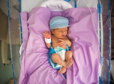 Novembro Roxo: Maternidade Carmela Dutra reforça o cuidado especializado a prematuros 
