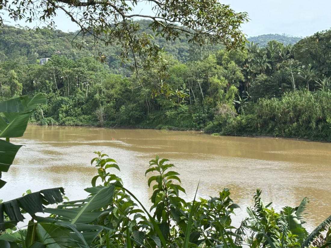 Corpo foi retirada j&aacute; em avan&ccedil;ado estado de decomposi&ccedil;&atilde;o