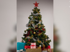 &Aacute;rvore do bem