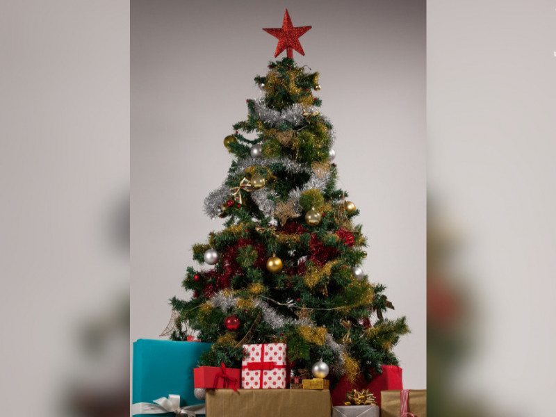 &Aacute;rvore do bem