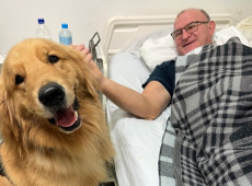  O c&atilde;o percorre os setores de interna&ccedil;&atilde;o, nos quartos, proporcionando momentos de leveza e acolhimento a pacientes, acompanhantes e profissionais.