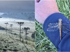 Moradores do Planalto catarinense foram surpreendidos com a queda brusca da temperatura no fim de semana