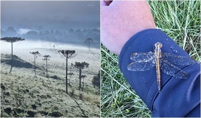 Moradores do Planalto catarinense foram surpreendidos com a queda brusca da temperatura no fim de semana