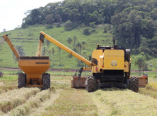 O munic&iacute;pio possui aproximadamente 2.700 hectares plantados.