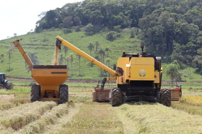 O munic&iacute;pio possui aproximadamente 2.700 hectares plantados.