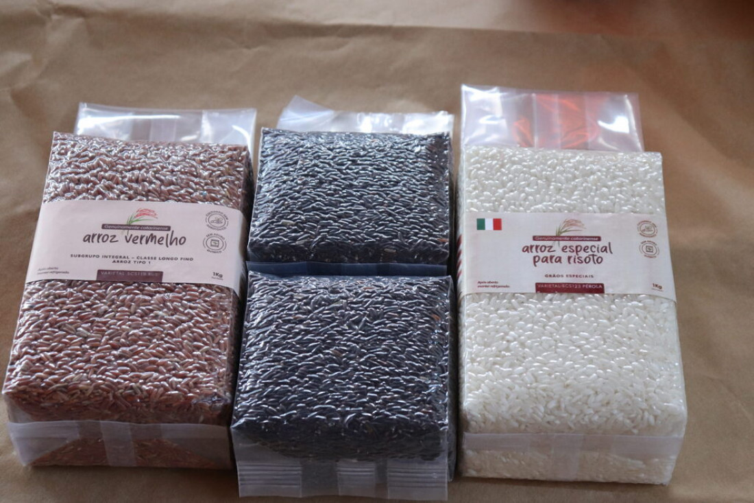 Atualmente, os agricultores produzem tr&ecirc;s tipos de arroz: &Ocirc;nix (arroz preto), Rubi (arroz vermelho) e o P&eacute;rola (arroz branco para risoto), 