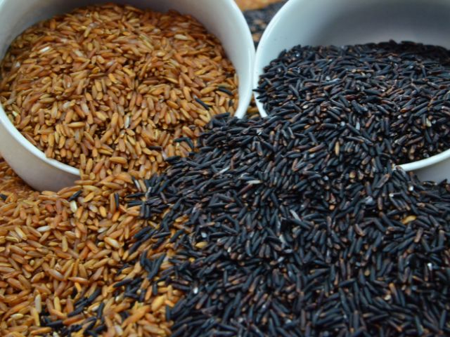 Cultivares &Ocirc;nix e Rubi foram lan&ccedil;ados em 2013