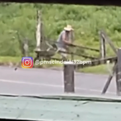 ... e depois quando enterra os animais em uma cova rasa