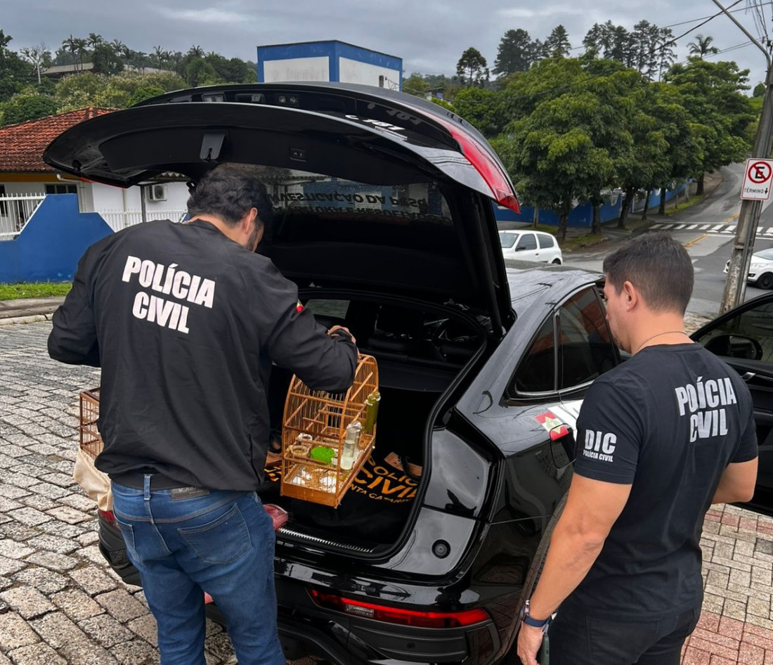 Além do esquema fraudulento, a polícia ainda encontrou pássaros silvestres em situação irregular no domicílio