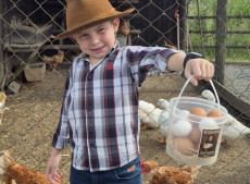 Hoje tem fila de espera para comprar os ovos 