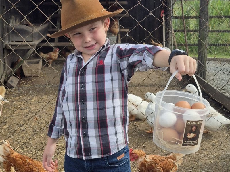 Hoje tem fila de espera para comprar os ovos 