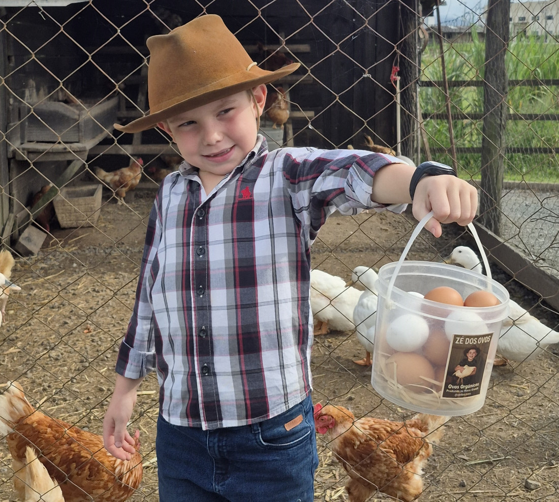 Hoje tem fila de espera para comprar os ovos 