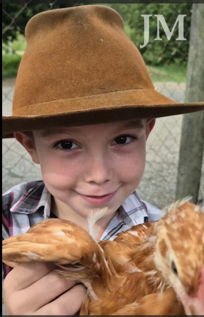 Para n&atilde;o trocar de escola, Jos&eacute; Pedro sugeriu criar galinhas e vender os ovos