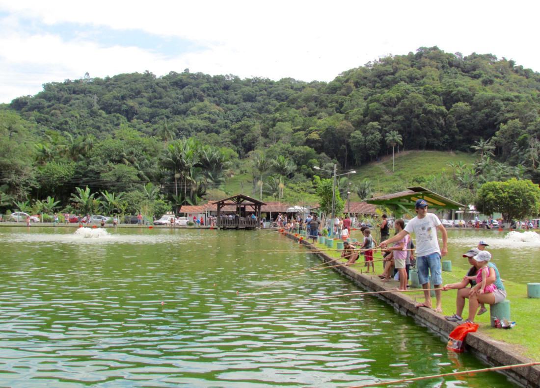 Grande parte da produ&ccedil;&atilde;o de pescados vem de pequenas propriedades rurais no interior de Gaspar