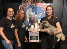O evento reunir&aacute; empresas e marcas do setor pet e agropecu&aacute;rio, que ir&atilde;o apresentar produtos, servi&ccedil;os e solu&ccedil;&otilde;es voltadas ao bem-estar animal