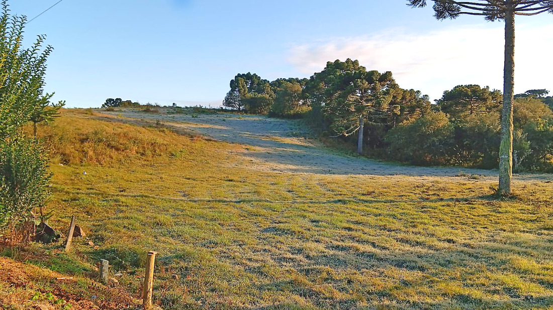 Em algumas regiões, temperaturas ficaram abaixo de 0ºC