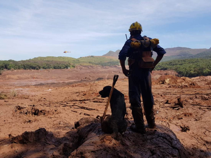 Janeiro de 2019, em Brumadinho, Minas Gerais 
