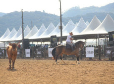 Provas campeiras no 42&ordm; Rodeio do CTG Cora&ccedil;&atilde;o do Vale