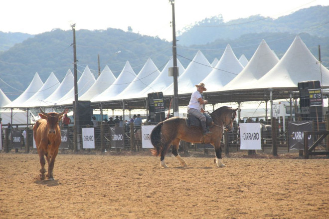 Provas campeiras no 42&ordm; Rodeio do CTG Cora&ccedil;&atilde;o do Vale