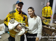 Snow foi resgatado pelos bombeiros militares em Gaspar, na noite de ter&ccedil;a-feira (2)

