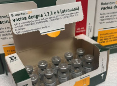 Minist&eacute;rio da Sa&uacute;de suspende vacina contra a dengue do Butantan