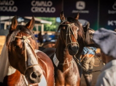 Evento acontece na Arena Multiuso Prefeito Francisco Hostins entre os dias 19 e 21 de junho