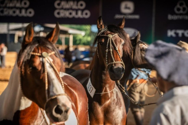 Evento acontece na Arena Multiuso Prefeito Francisco Hostins entre os dias 19 e 21 de junho