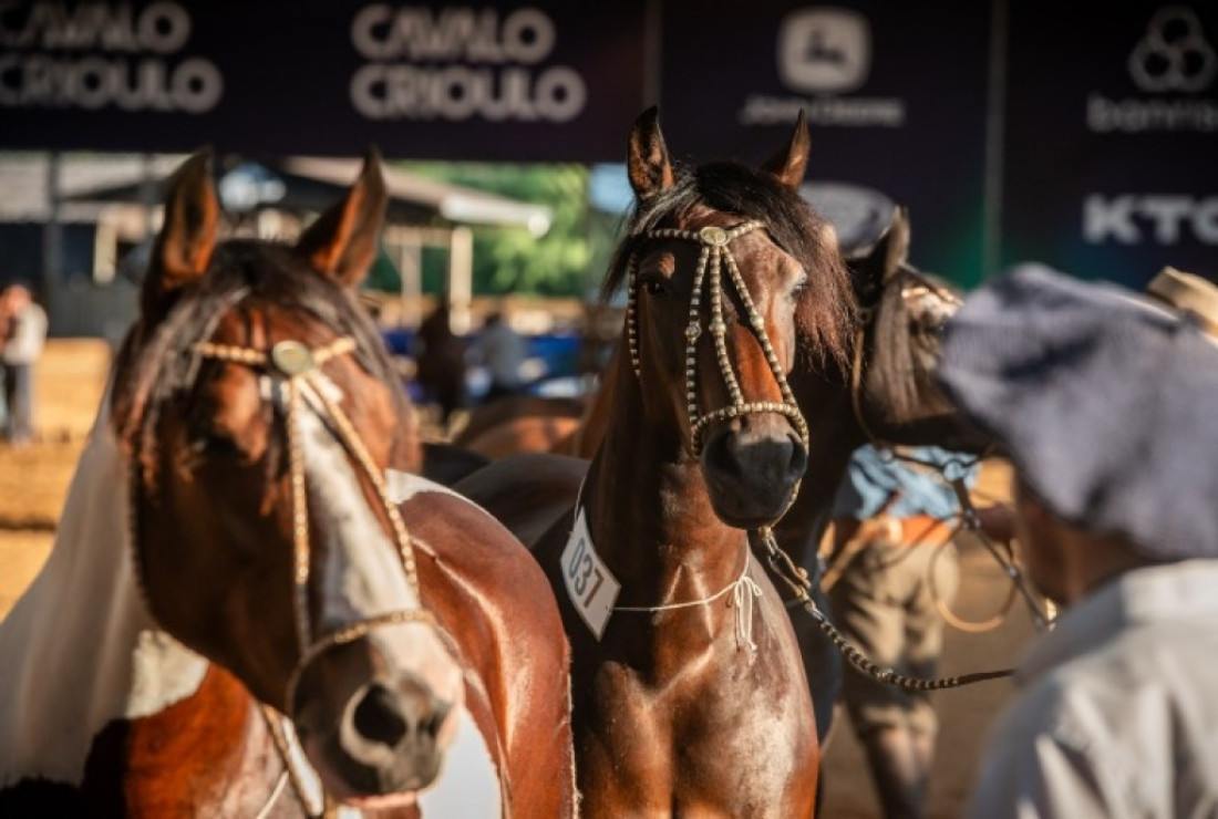 Evento acontece na Arena Multiuso Prefeito Francisco Hostins entre os dias 19 e 21 de junho