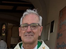 Frei Pedro silva