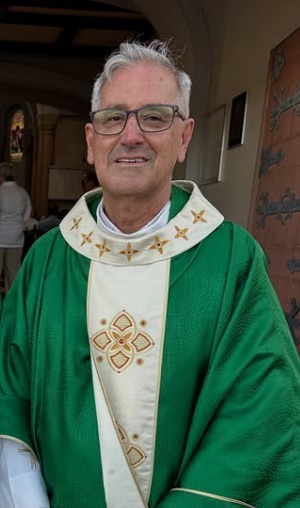 Frei Pedro silva
