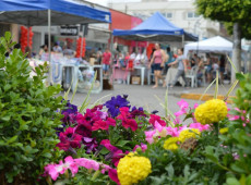 O evento ser&aacute; realizado no dia 2 de agosto e ter&aacute; o objetivo de transformar a regi&atilde;o central em um espa&ccedil;o de conviv&ecirc;ncia para as fam&iacute;lias, reunindo cultura, gastronomia, turismo, economia criativa e entretenimento.
