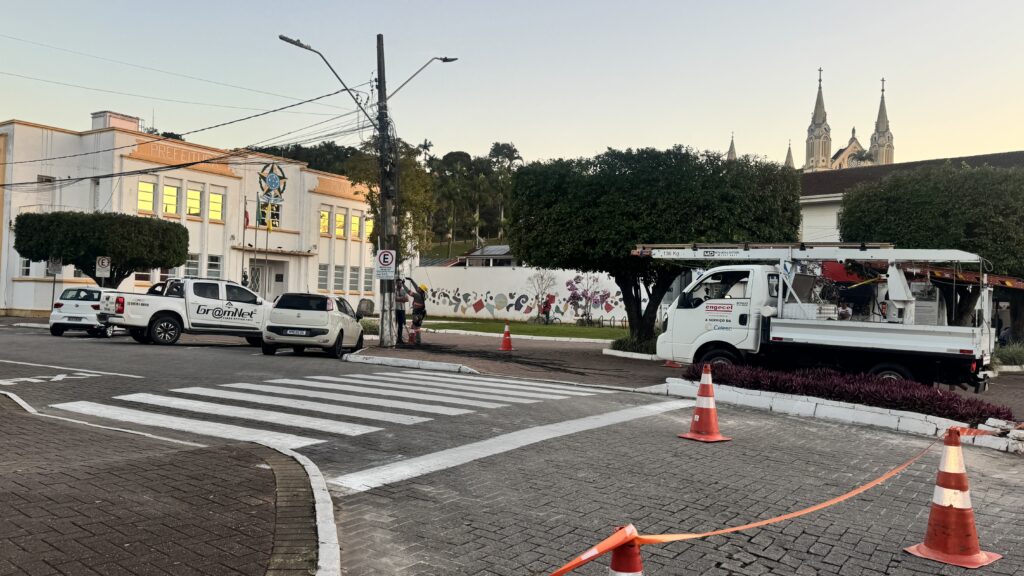 Equipe da Celesc fez a retirada dos cabos em situação irregular