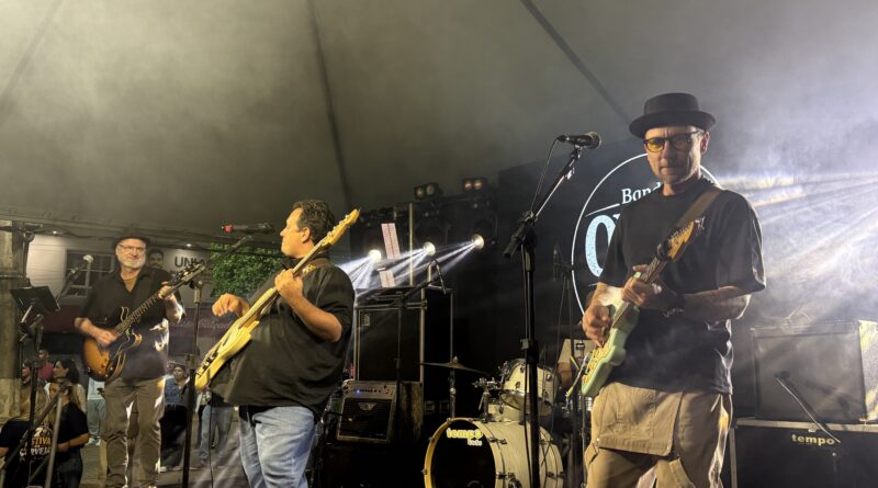 O evento reuniu diversas marcas de cerveja e muita música