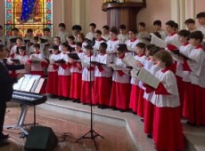 CANARINHOS DE PETR&Oacute;POLIS