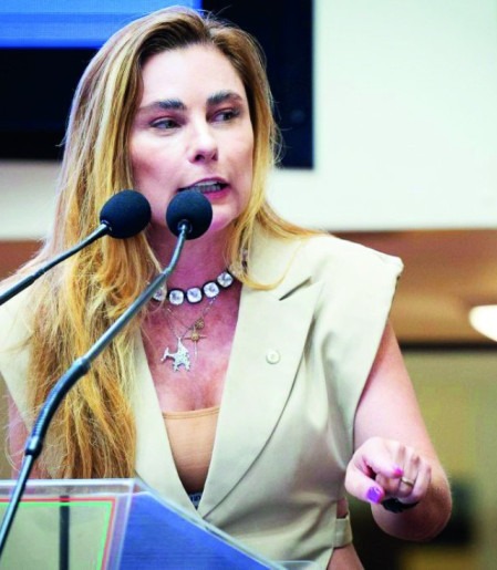 Elei&ccedil;&otilde;es 2026