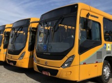 Transporte coletivo gratuito no dia 25 de outubro