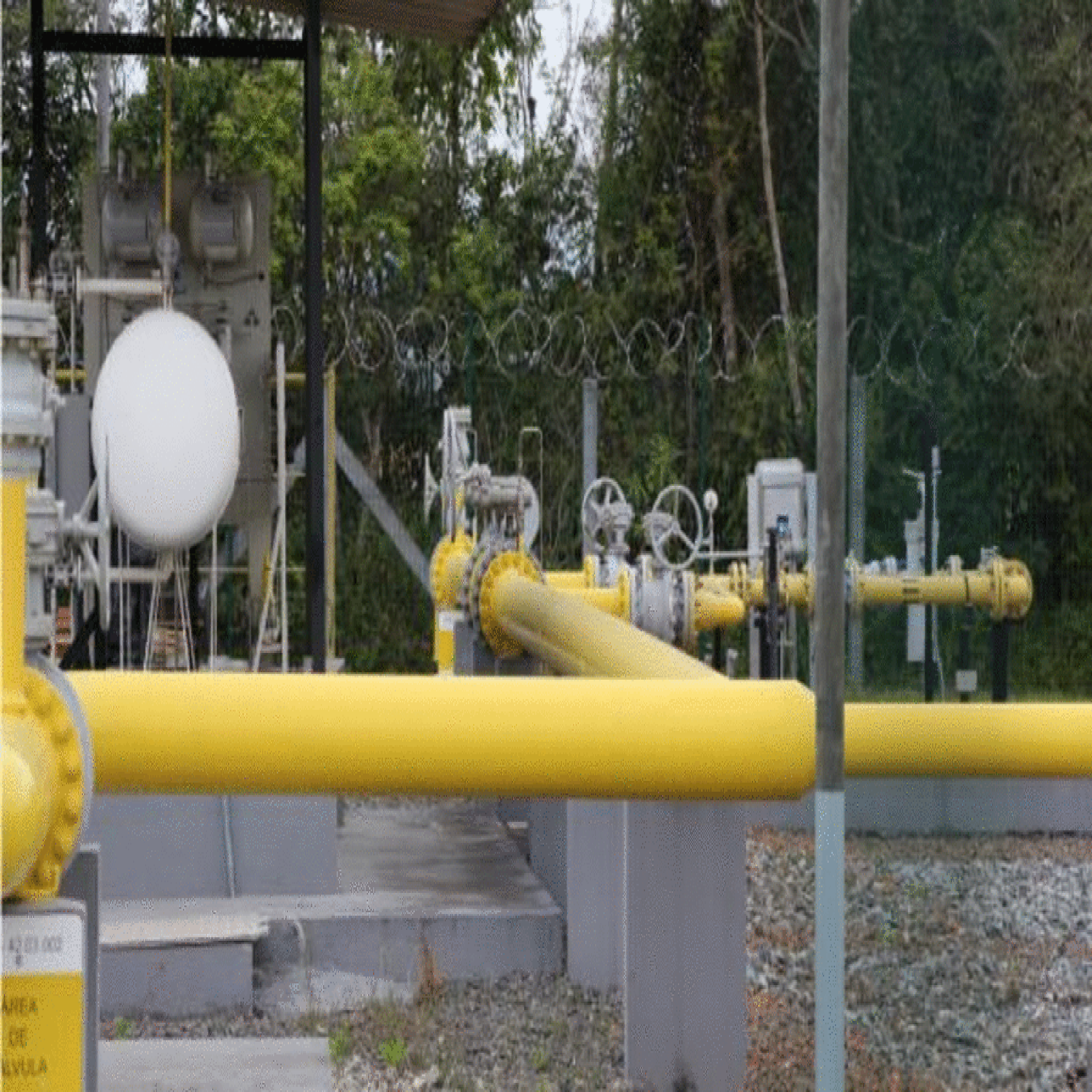 A previsão é de que, nos próximos 5 anos, 132 novas indústrias passem a utilizar o energético em seus processos / Foto: ASCOM SCGÁS
